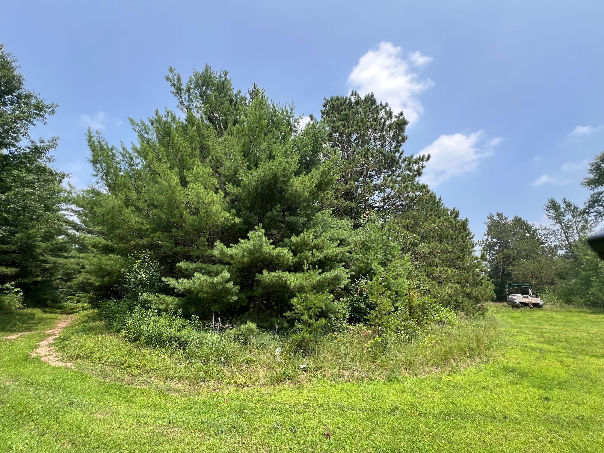 Xxxxx Lily Lake Inn Road Webster, WI 54893 - Photo 8 of 15