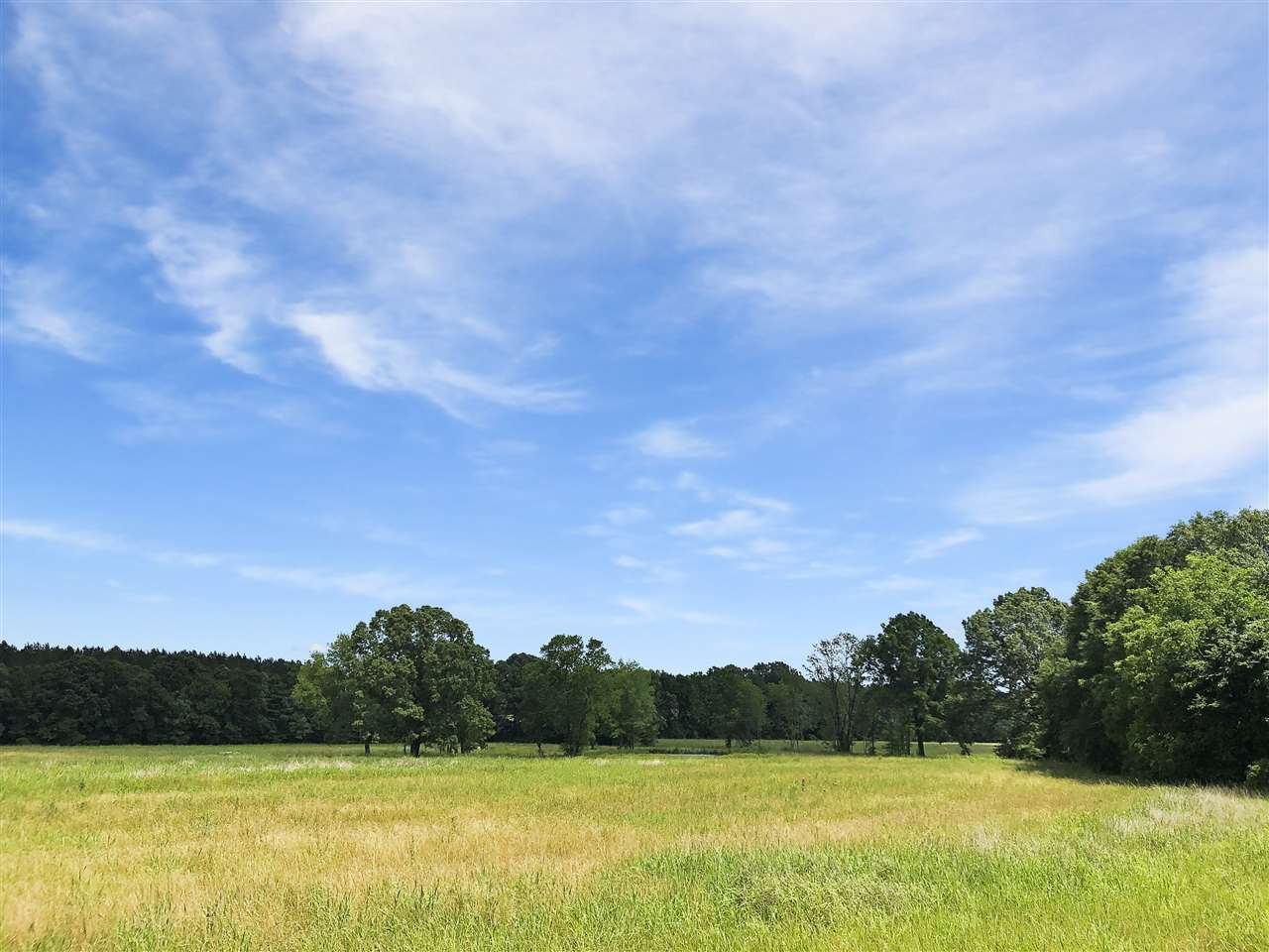 0 Stump Ridge Road, Unit 4 Brandon, MS 39047 - Photo 2 of 5 Photo 2
