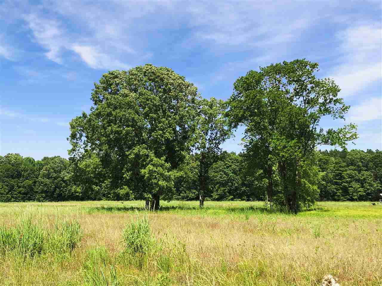 0 Stump Ridge Road, Unit 4 Brandon, MS 39047 - Photo 3 of 5 Photo 3