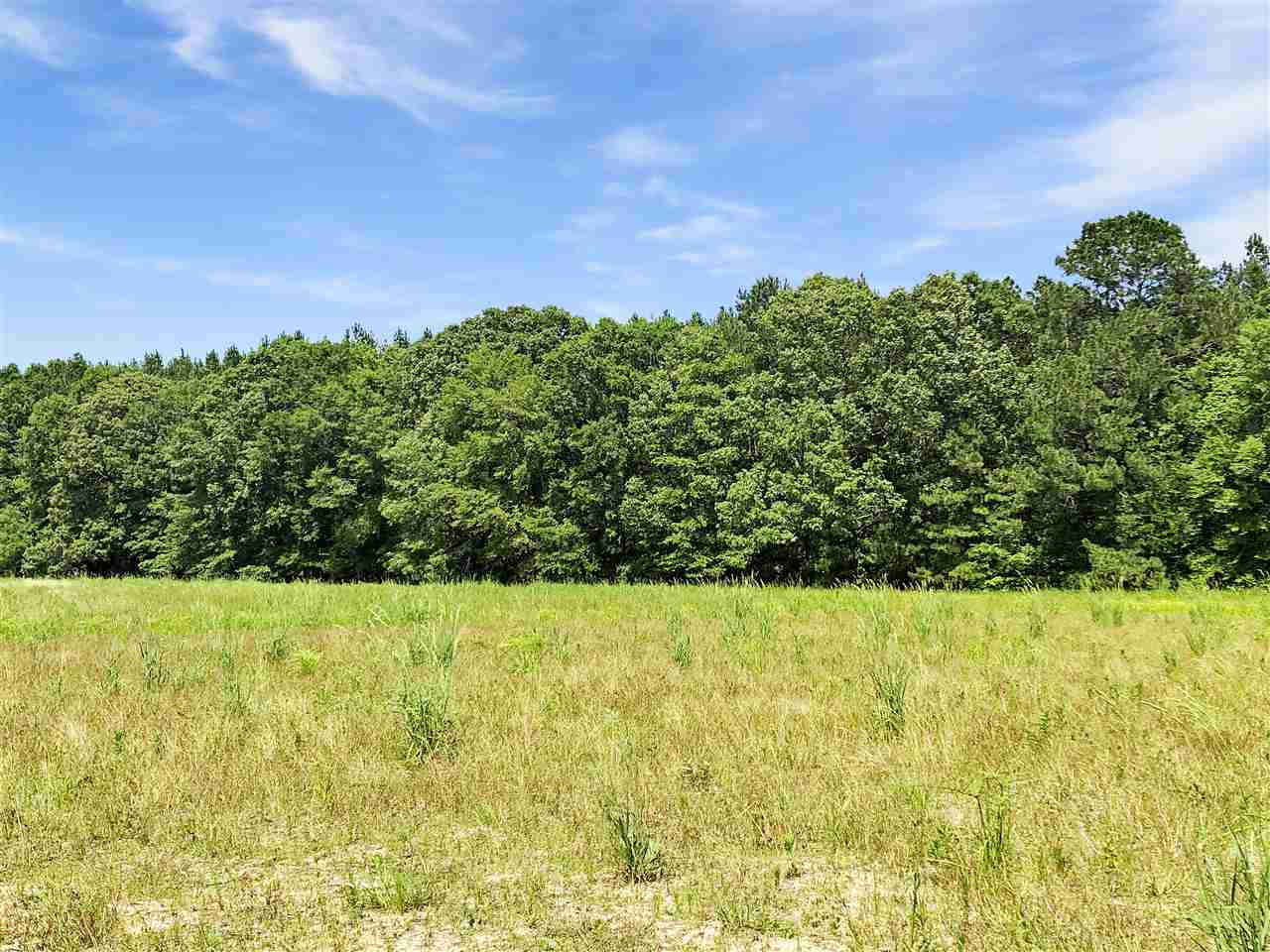 0 Stump Ridge Road, Unit 4 Brandon, MS 39047 - Photo 4 of 5 Photo 4
