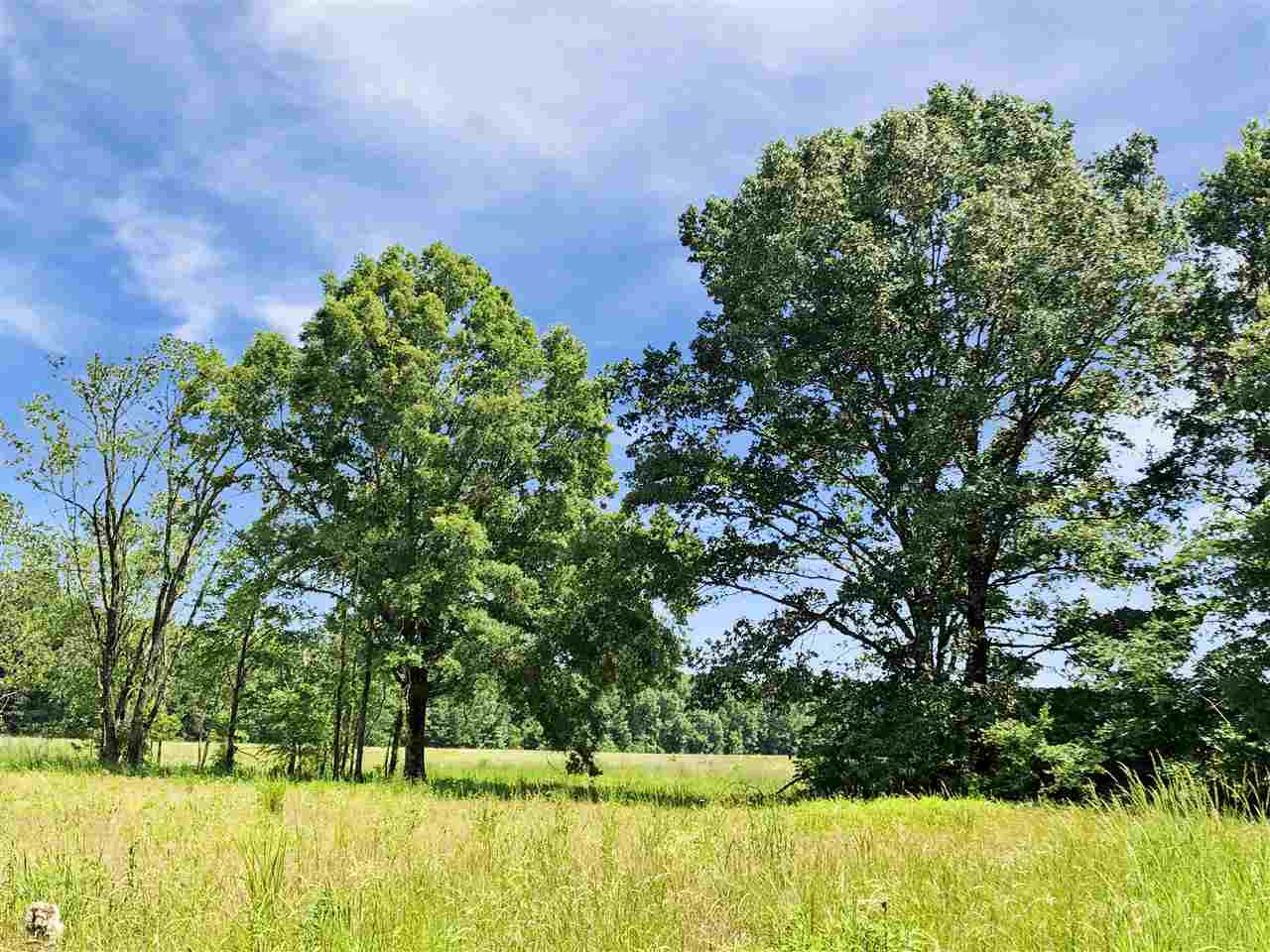 0 Stump Ridge Road, Unit 4 Brandon, MS 39047 - Photo 5 of 5 Photo 5