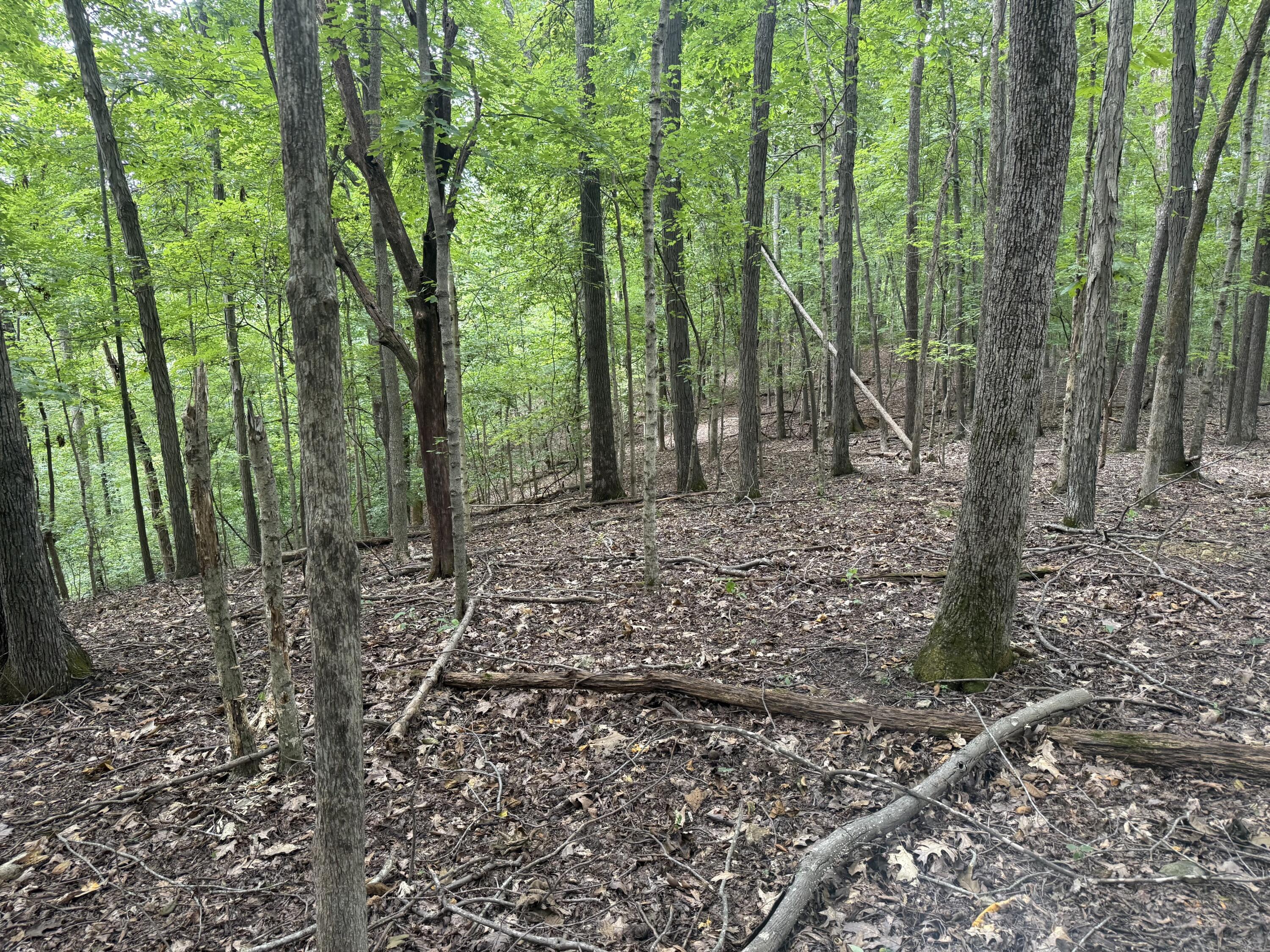 0 Perry Springs Road Eddyville, KY 42038 - Photo 25 of 41 21