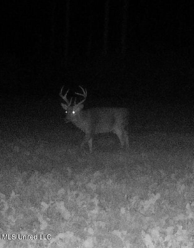 3448 Lower Centreville Road Liberty, MS 39645 - Photo 36 of 36 Screensho001