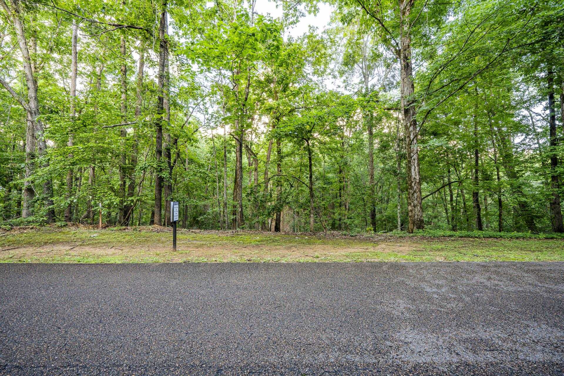 Lot 159 Anderson Hollow Road Savannah, TN 38372 - Photo 21 of 23
