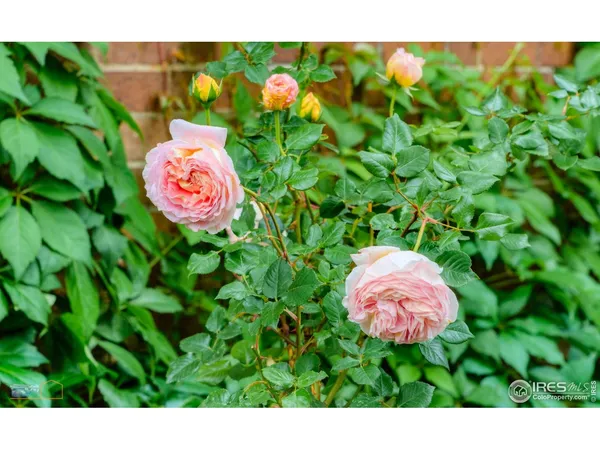 $6,970,000 | 604 Mapleton Avenue, Boulder, CO 80302