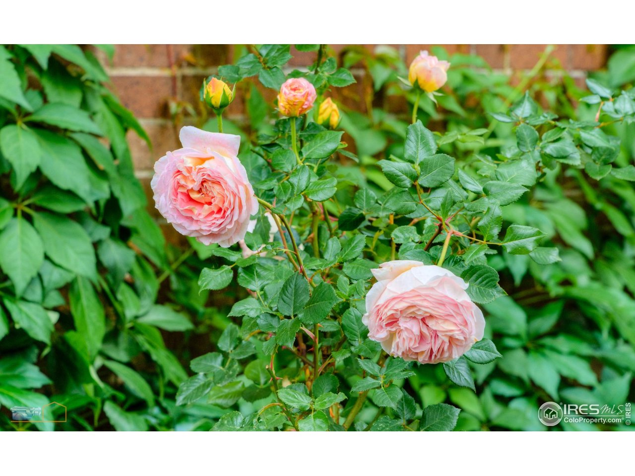 604 Mapleton Avenue Boulder, CO 80302 - Photo 33 of 40