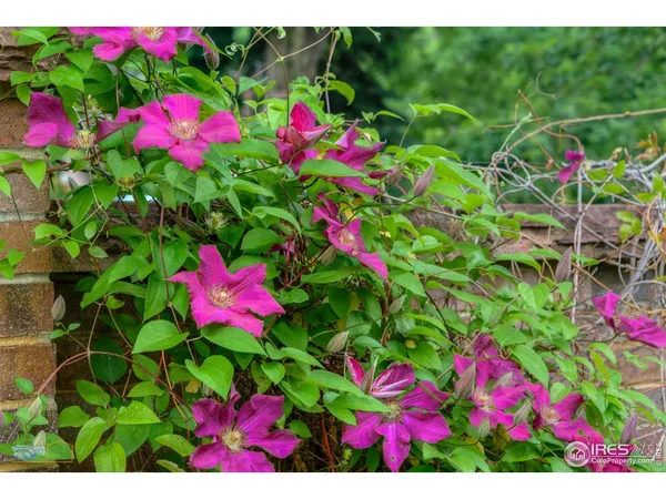 $6,970,000 | 604 Mapleton Avenue, Boulder, CO 80302