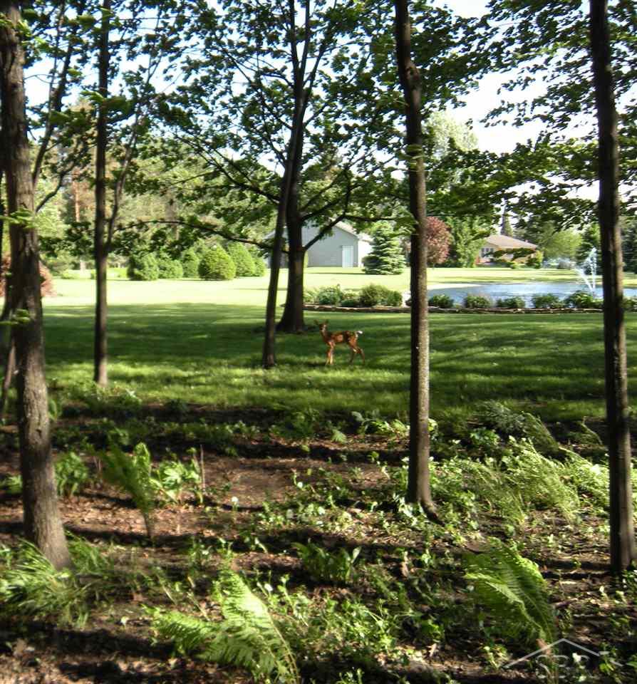 1742 Pierce Road Saginaw, MI 48604 - Photo 59 of 84