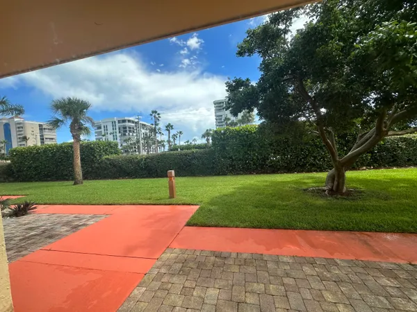 a view of a park with large trees