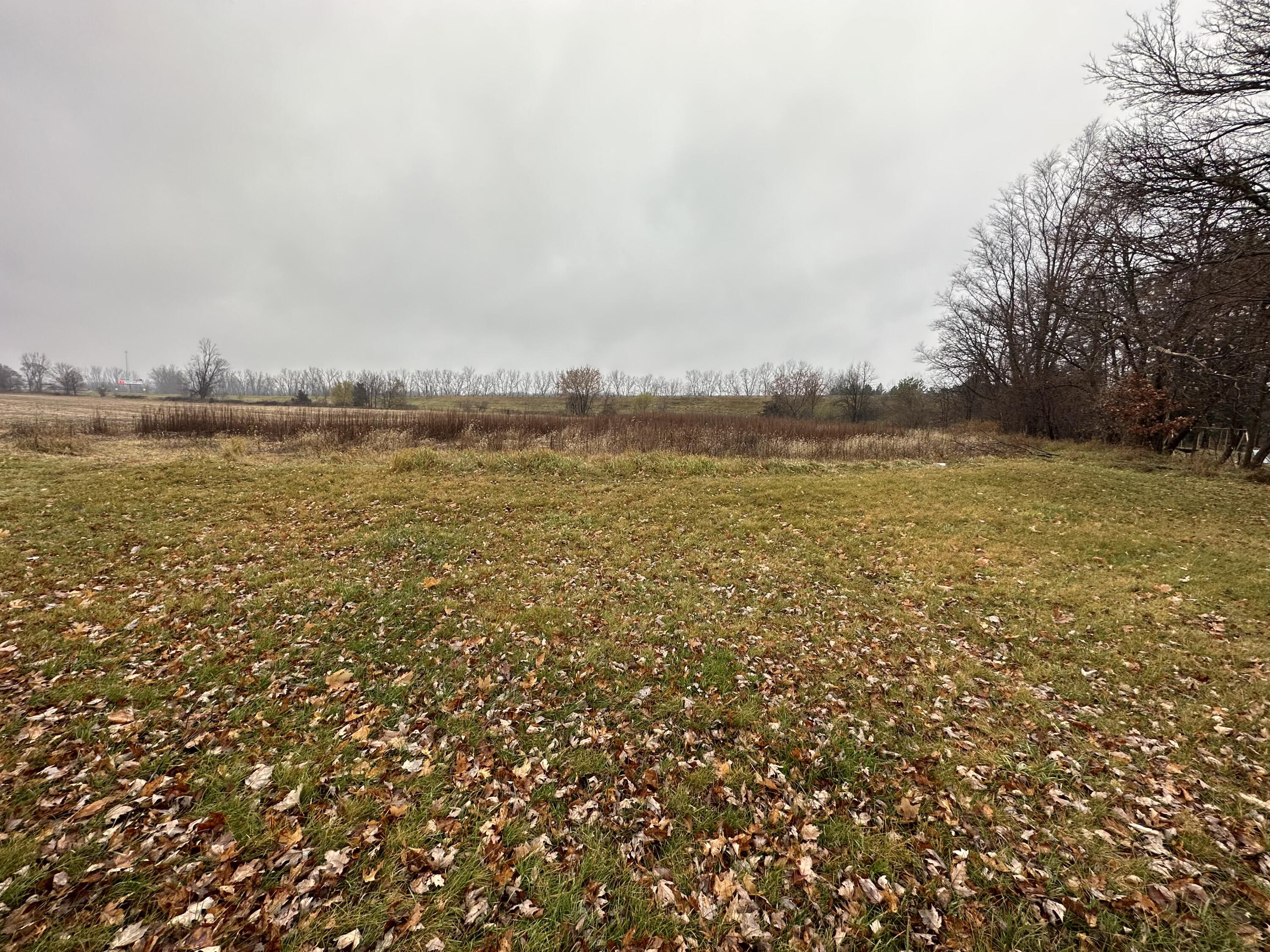 South Willowbrook Road Coldwater, MI 49036 - Photo 2 of 3 IMG_1191