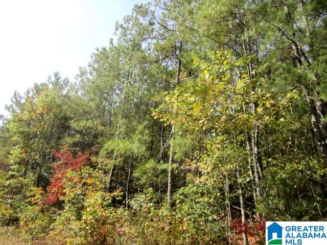 112 Pleasant Grove Road Lineville, AL 36266 - Photo 13 of 14