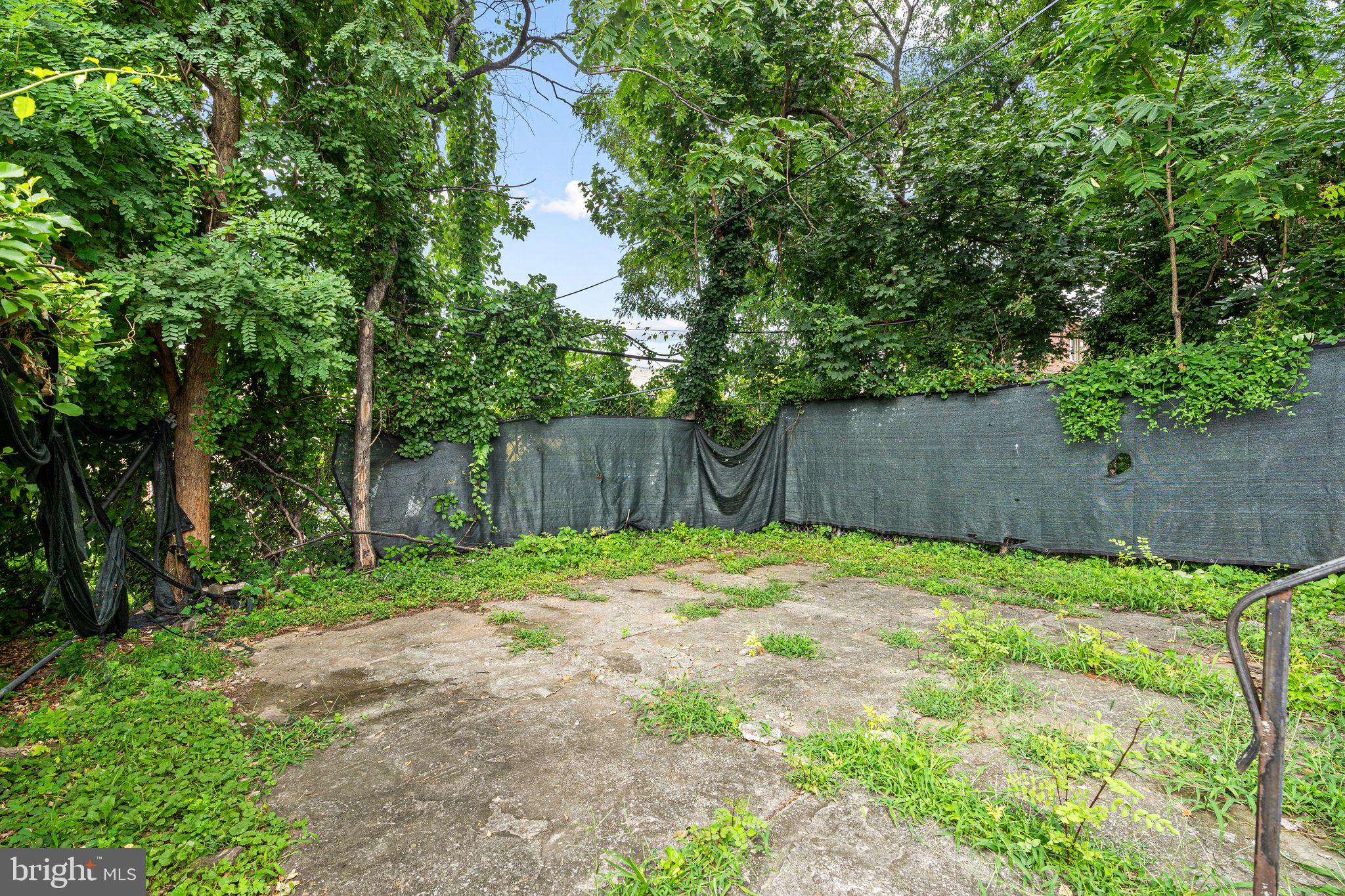 1405 71st Avenue Philadelphia, PA 19126 - Photo 25 of 32 Back yard