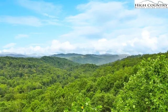 a view of a green field