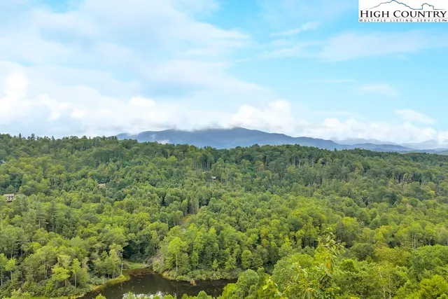 a close up of a lush green space