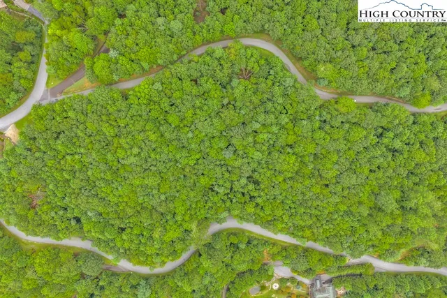 a view of a lush green hillside and a houses