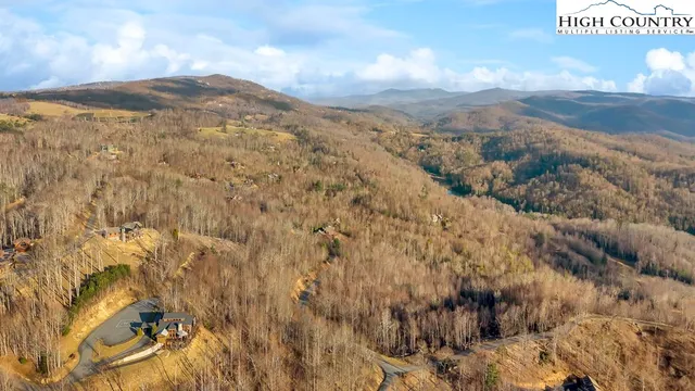 a view of a backyard with large trees