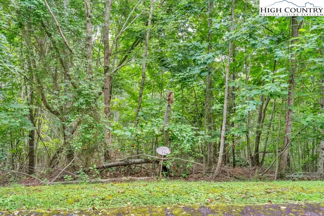 a view of a pathway with a yard