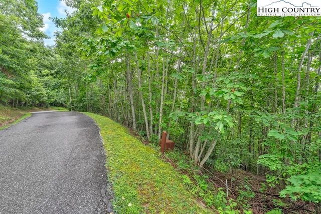 a view of a pathway both side of yard