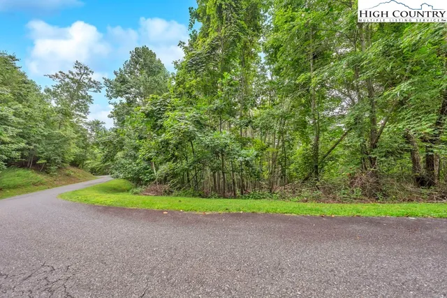 a view of a garden with plants