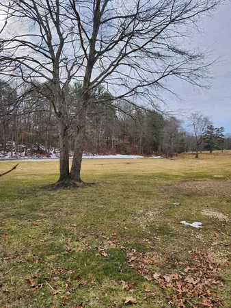 a view of a dry yard with wooden fence