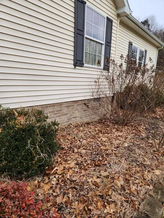a potted plant sitting in front of a house