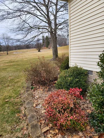 a view of a pathway with a yard