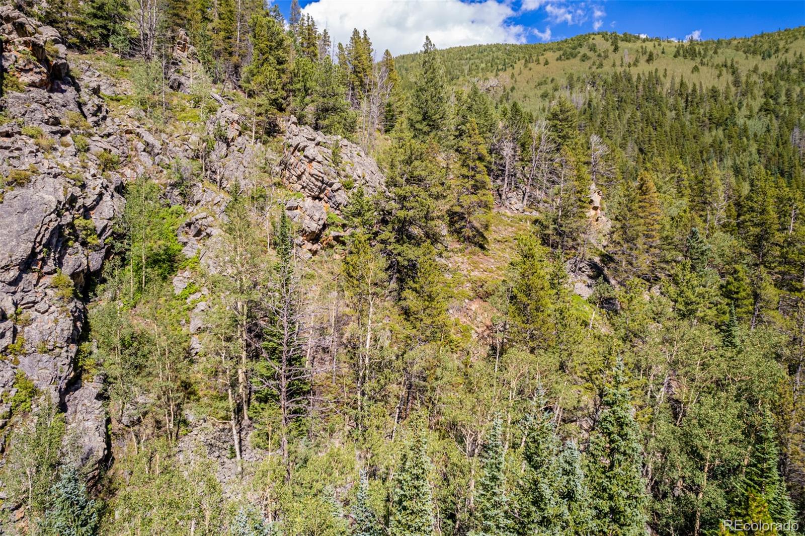 0 Apex Valley Road Idaho Springs, CO 80452 - Photo 3 of 23 Gallery Image 3