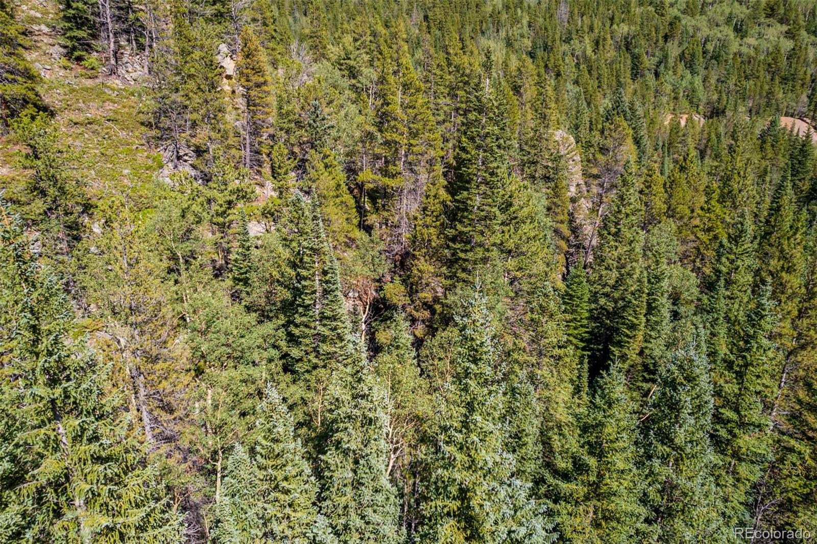 0 Apex Valley Road Idaho Springs, CO 80452 - Photo 6 of 23 Gallery Image 6