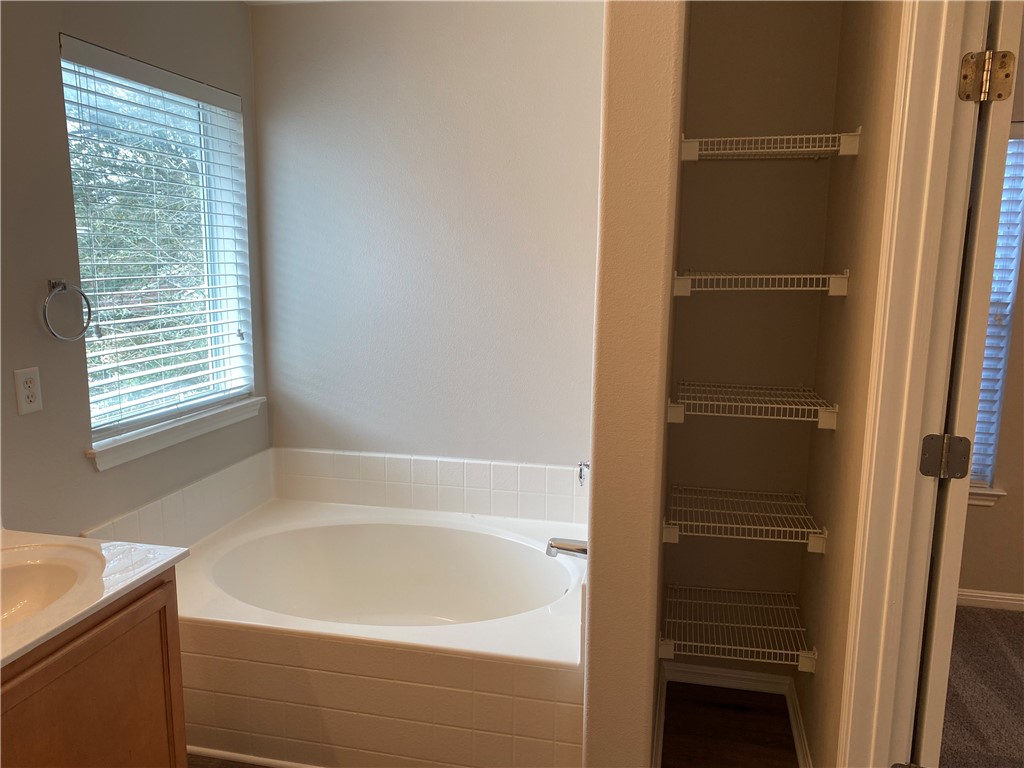 2700 Saddle Blanket Place Leander, TX 78641 - Photo 16 of 23 a bathroom with a bathtub