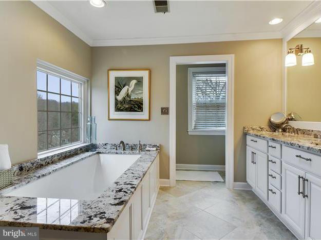 10718 Pot Spring Road Cockeysville, MD 21030 - Photo 19 of 30 Bath (Master)