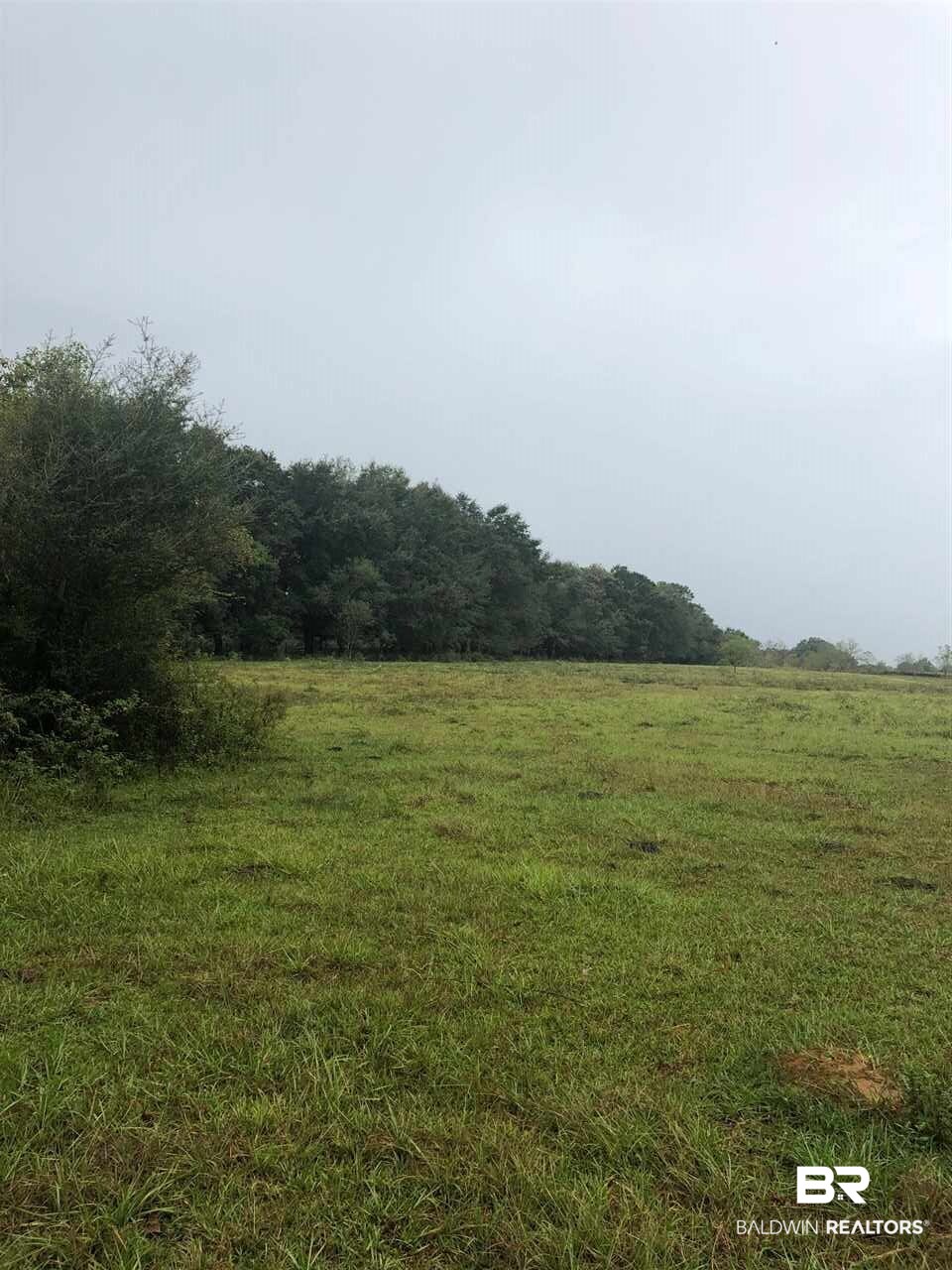 13390 Norris Lane Foley, AL 36535 - Photo 3 of 7