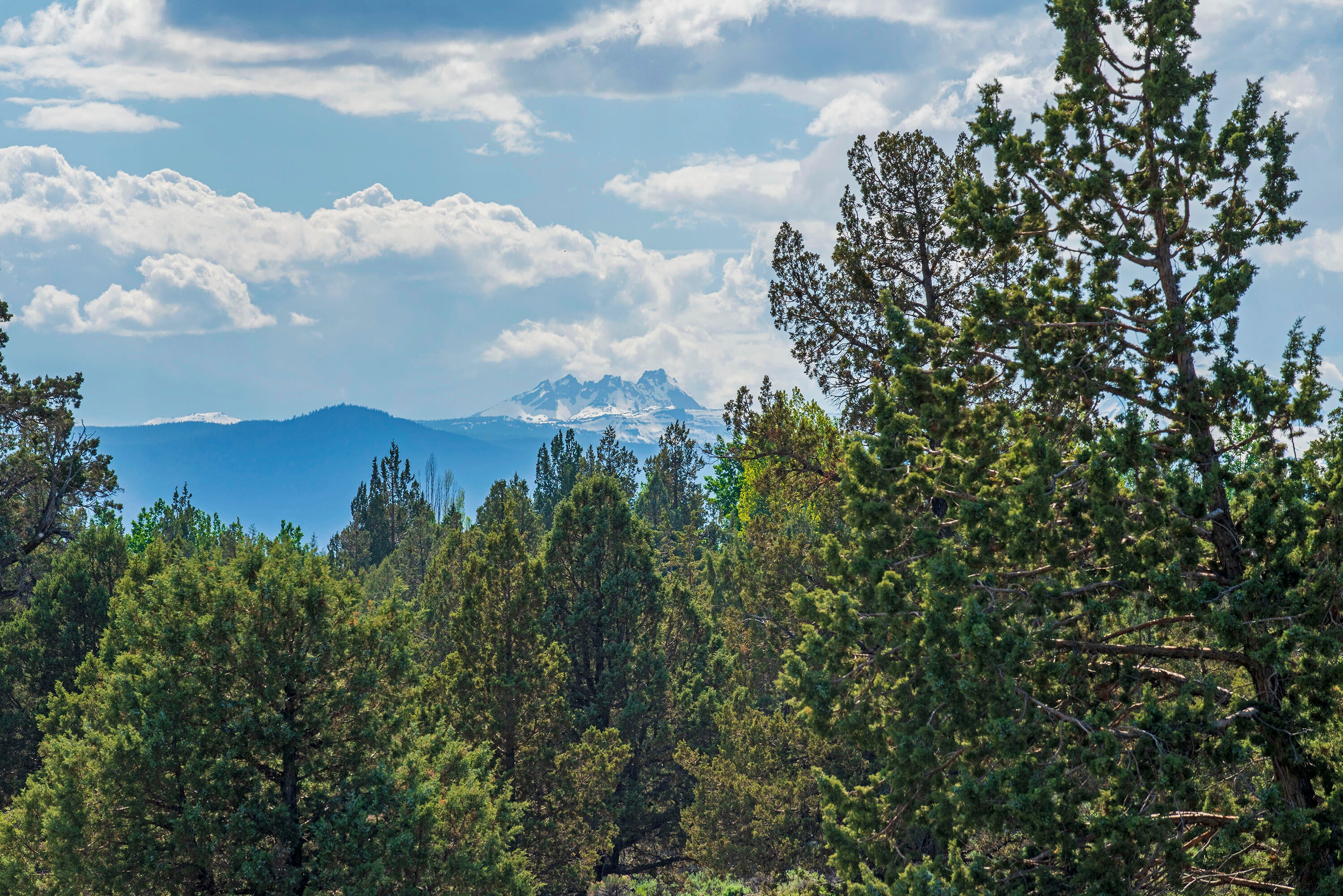 64708 Alcor Place Bend, OR 97703 - Photo 11 of 33 33-print-DSC_6427