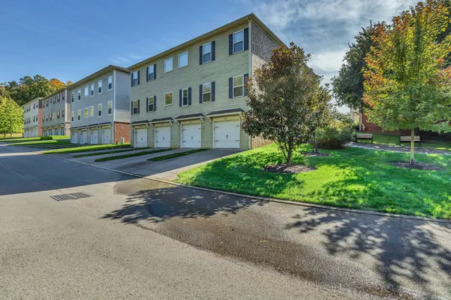 a view of a park with large trees