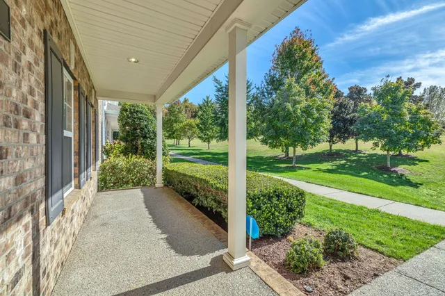 a view of a back yard