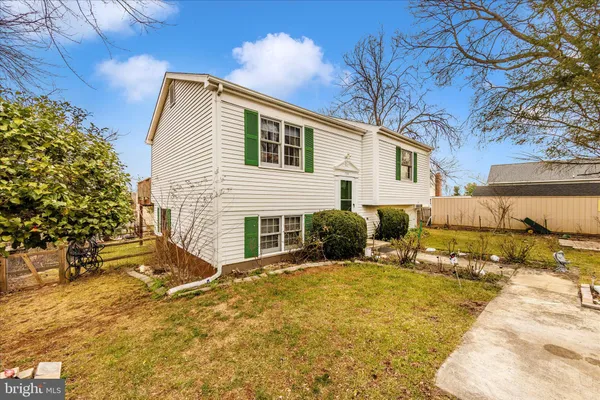 a view of a flower in a garden