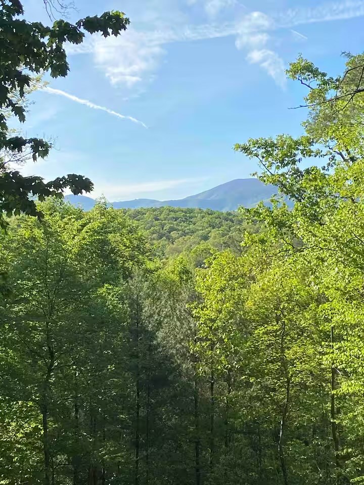 49 Emmaus Walk Ellijay, GA 30536 - Photo 31 of 33