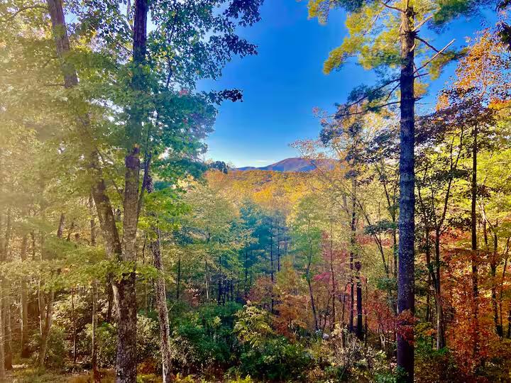 49 Emmaus Walk Ellijay, GA 30536 - Photo 6 of 33