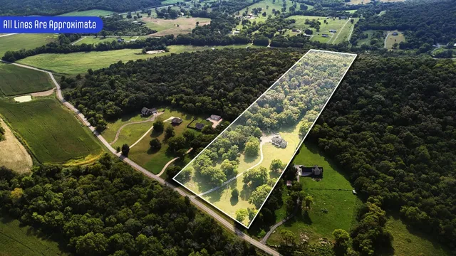 a view of a tree with a yard