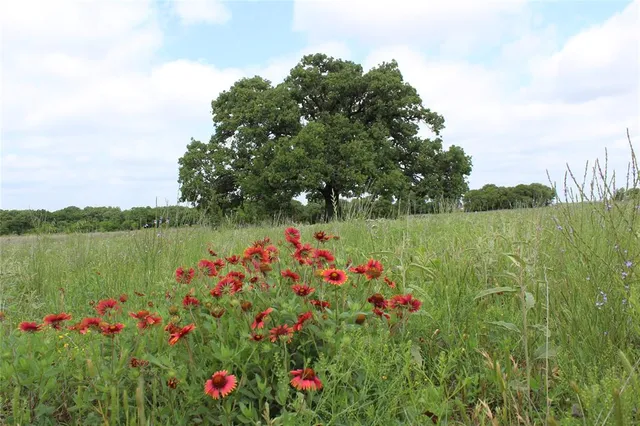 $164,450 | 2 County Road 109, Mingus, TX 76463