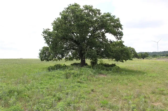 $164,450 | 2 County Road 109, Mingus, TX 76463