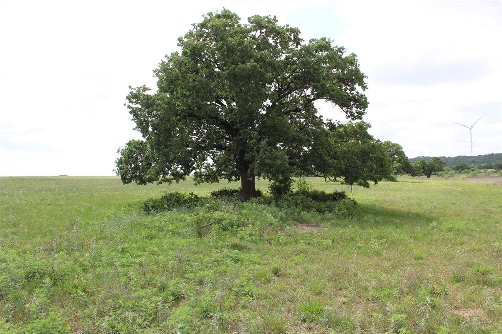 2 County Road 109 Mingus, TX 76463 - Photo 3 of 10