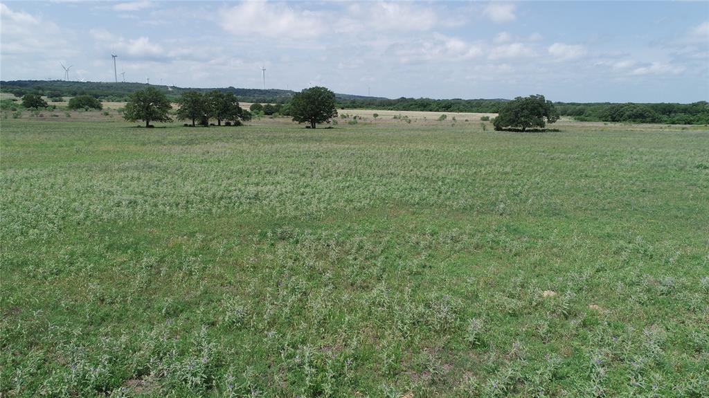 2 County Road 109 Mingus, TX 76463 - Photo 5 of 10