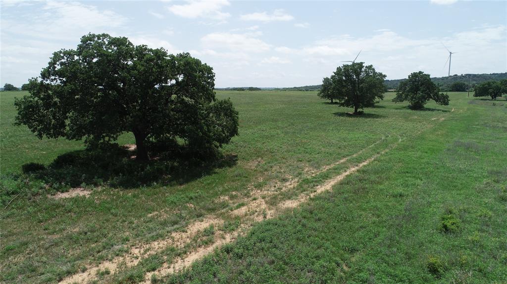 2 County Road 109 Mingus, TX 76463 - Photo 6 of 10