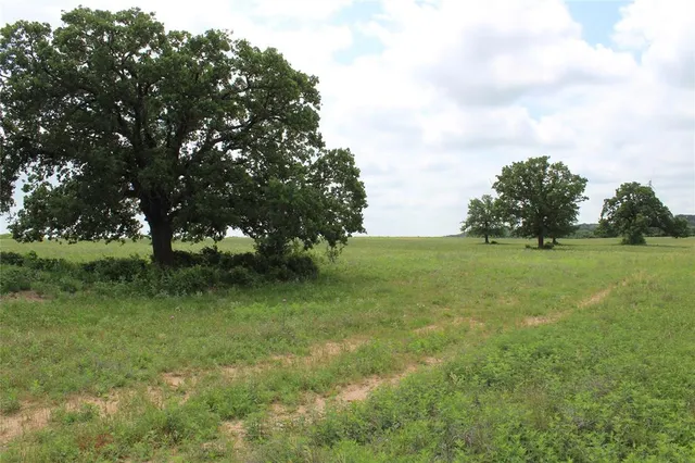 $164,450 | 2 County Road 109, Mingus, TX 76463