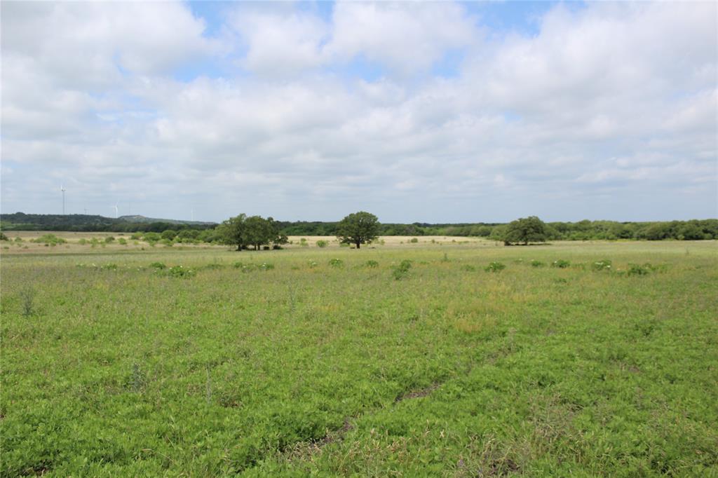 2 County Road 109 Mingus, TX 76463 - Photo 10 of 10