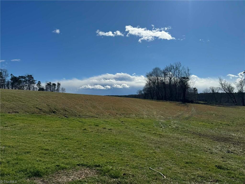 12544 Traphill Road Traphill, NC 28685 - Photo 47 of 50