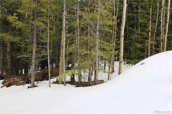 $65,000 | 0 Miners Mesa Road, Black Hawk, CO 80422