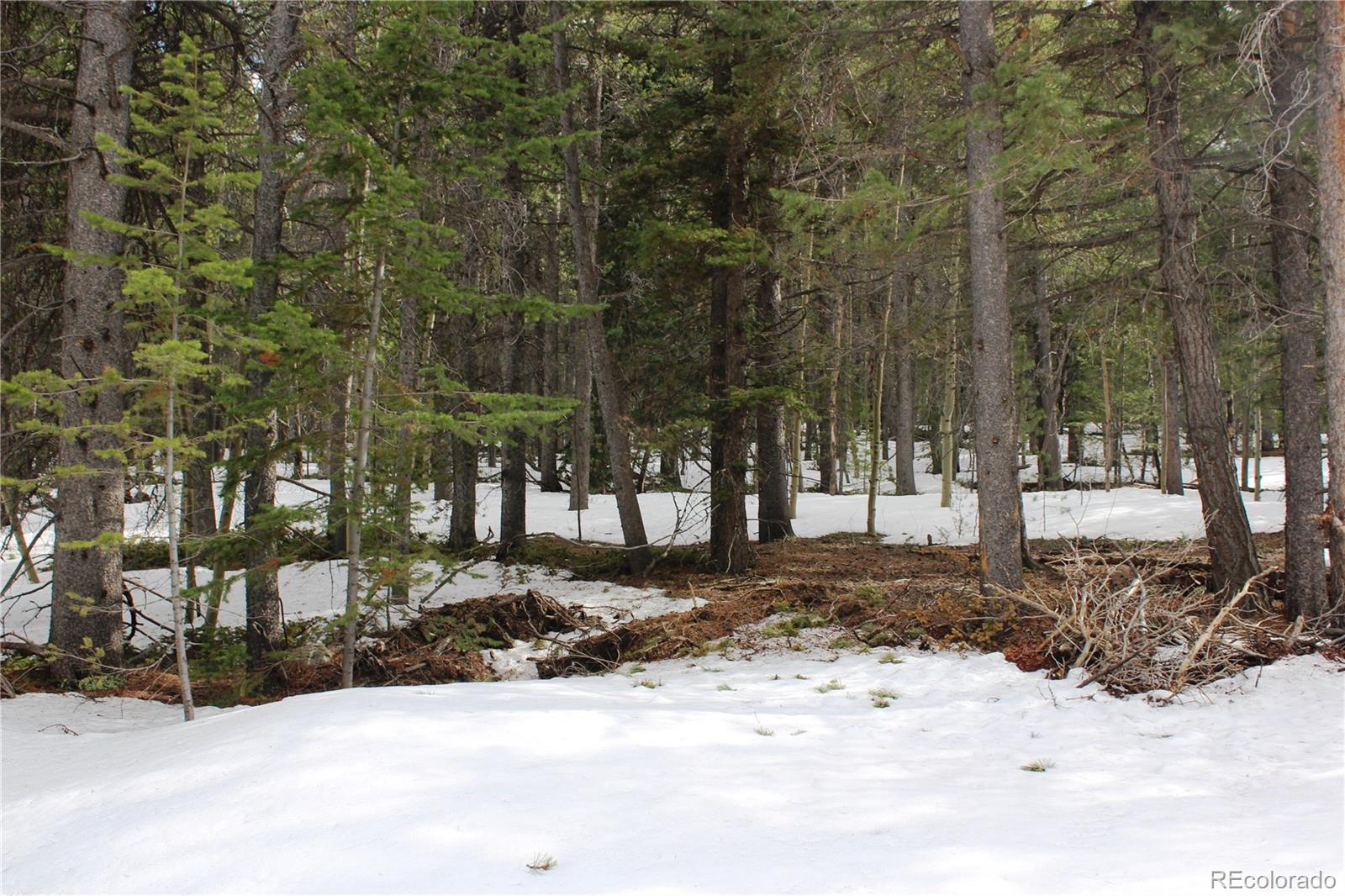 0 Miners Mesa Road Black Hawk, CO 80422 - Photo 2 of 11