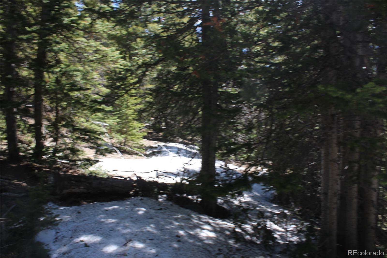 0 Miners Mesa Road Black Hawk, CO 80422 - Photo 3 of 11 a view of tree