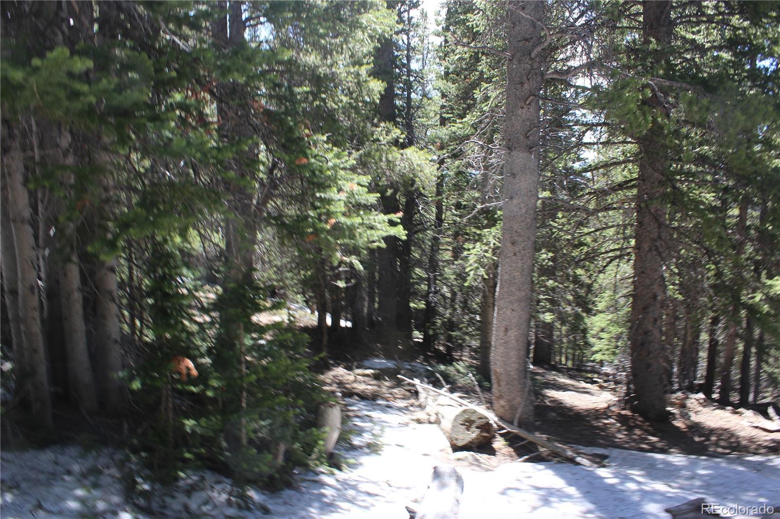 0 Miners Mesa Road Black Hawk, CO 80422 - Photo 4 of 11 a view of a forest filled with trees